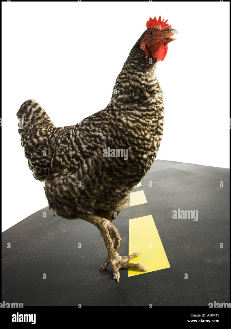 Descubre el Atraco de la Carretera de Pollo en Todo el País Español in Spain